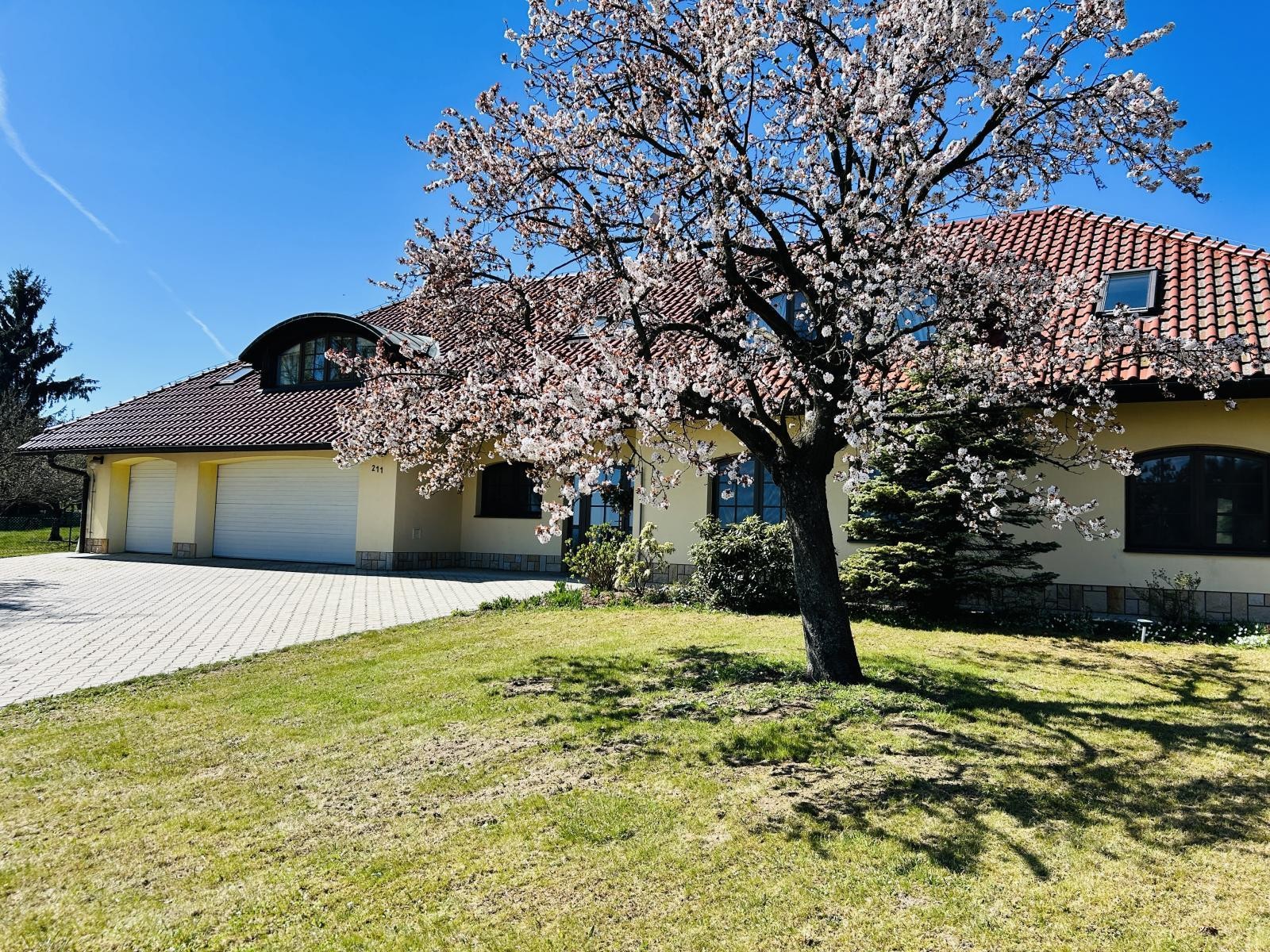 Dům · 392 m² · Olšany, Vyškov - 4