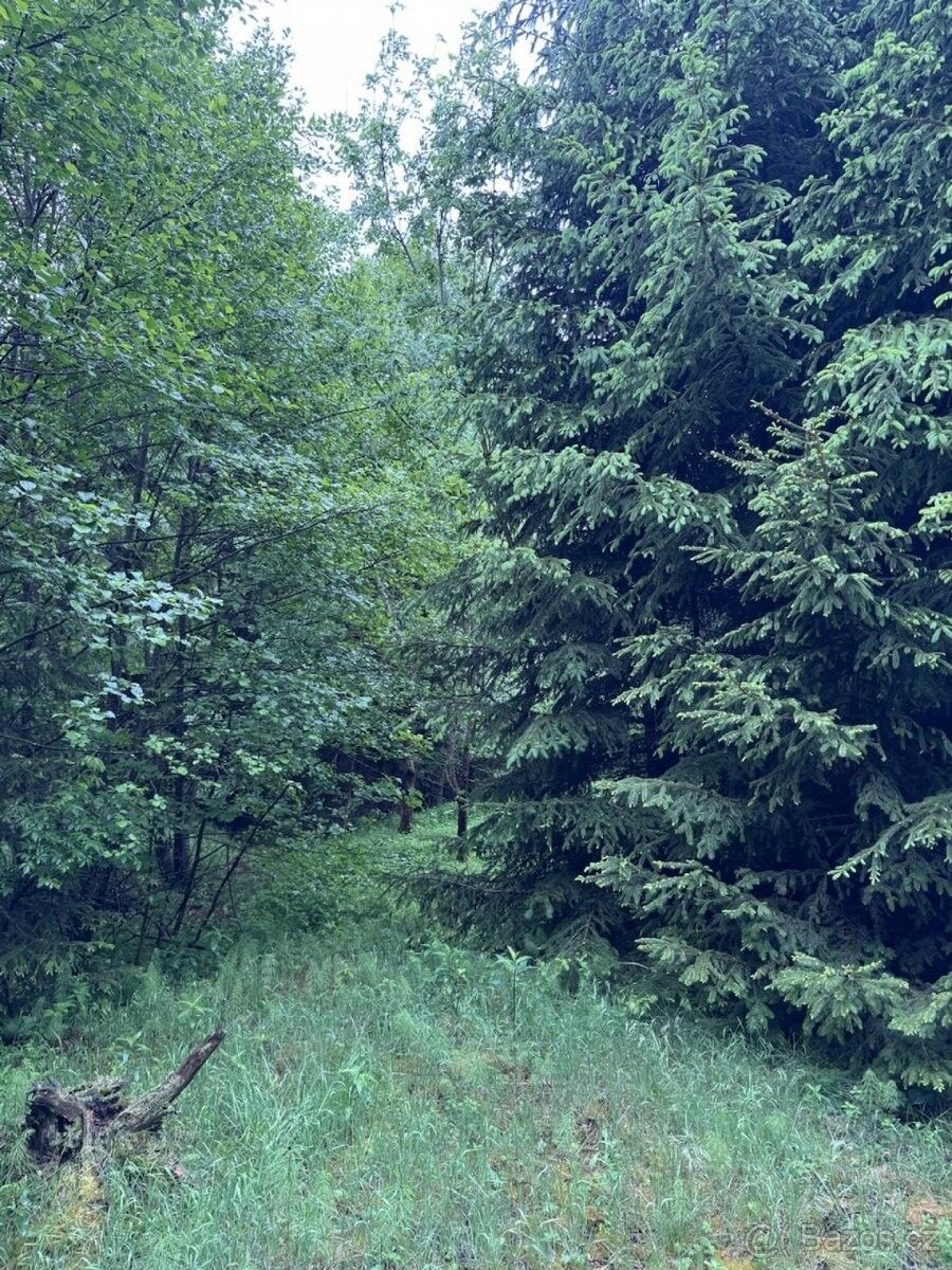 Pozemky pro bydlení, Lomnice nad Popelkou, 512 51 - 2