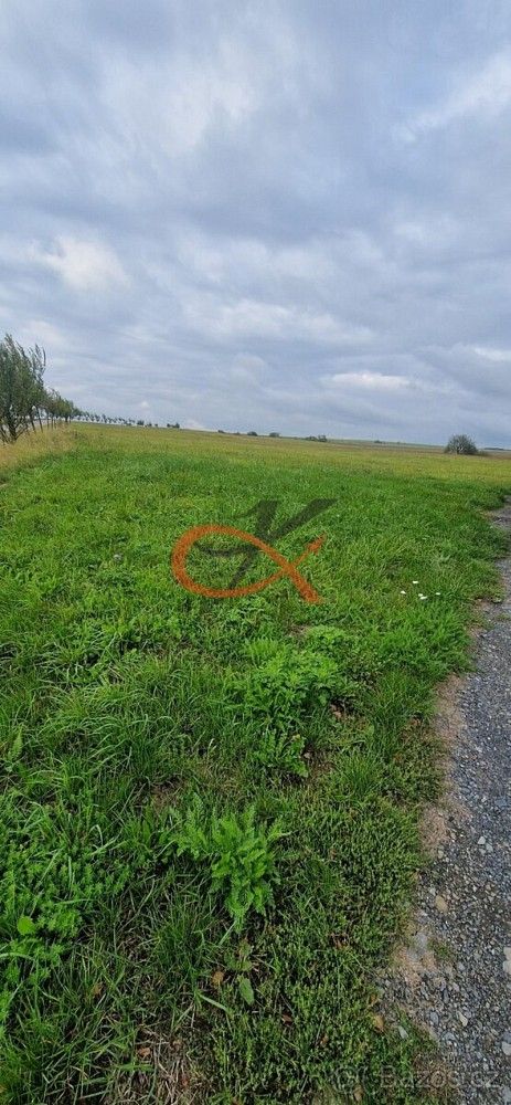 Prodej pozemek pro bydlení - Větřkovice, okres Opava, Moravskoslezský kraj - 5
