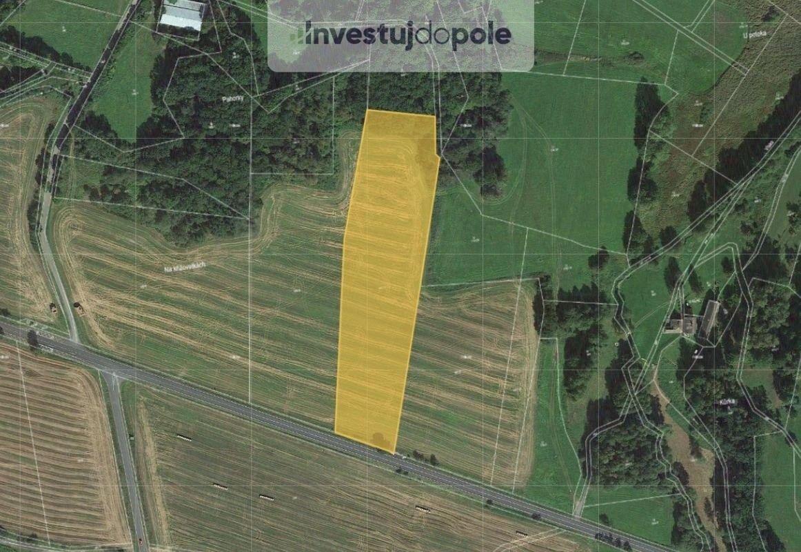 Prodej zemědělský pozemek - Nepomuk, 335 01, 9 203 m²