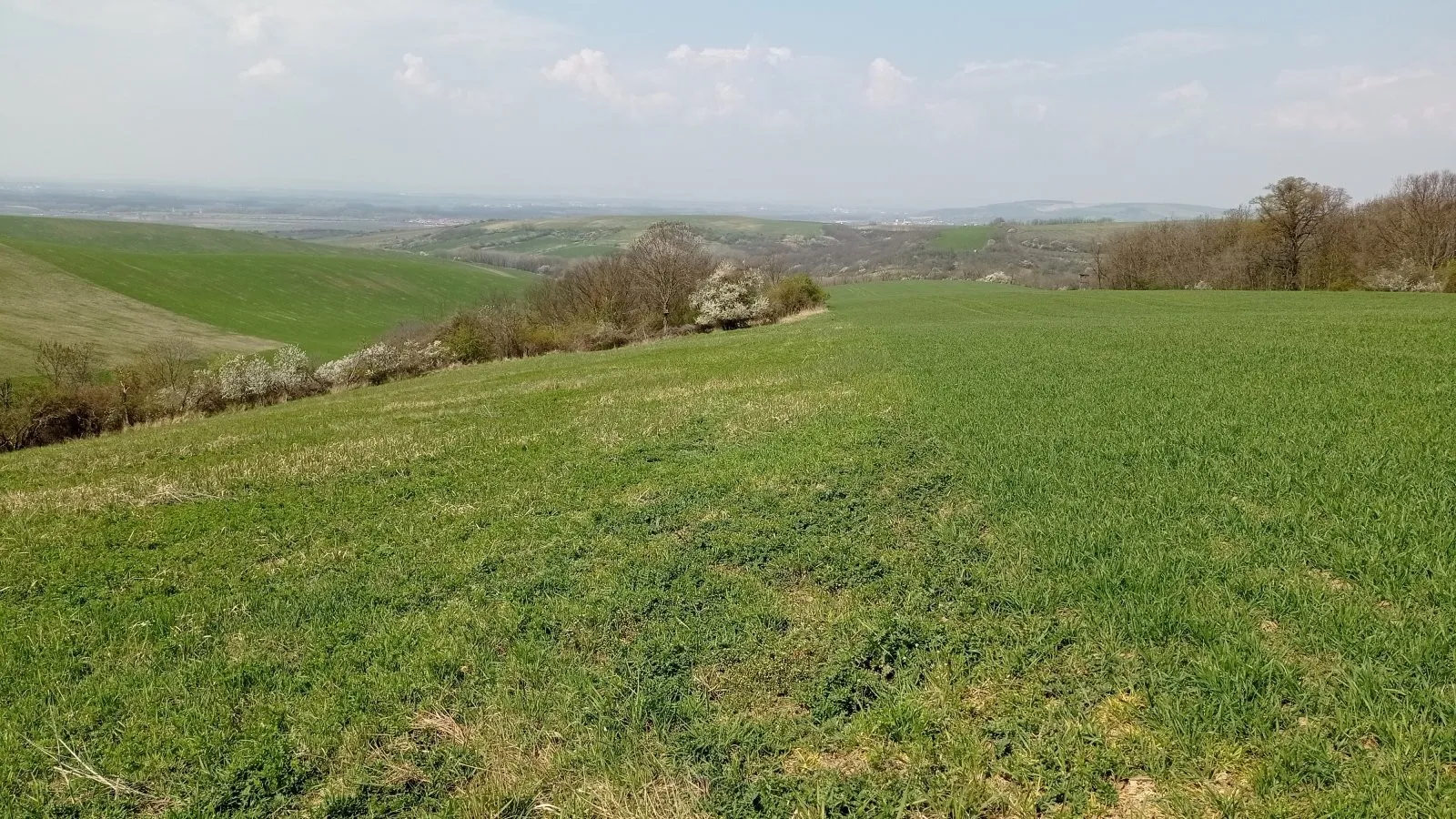 Ostatní