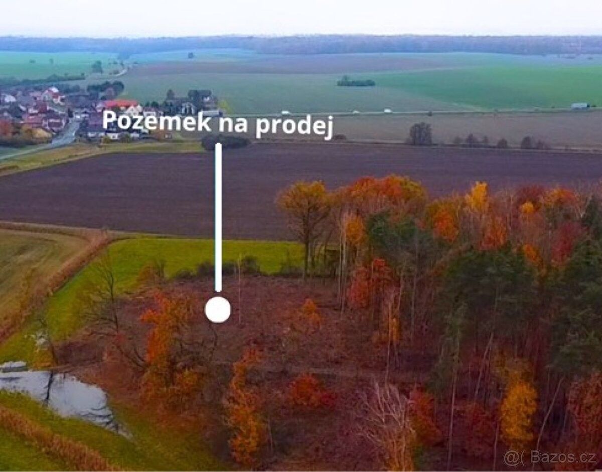 Prodej les - Dlouhá Lhota u Mladé Boleslavě, 294 05, 3 457 m²
