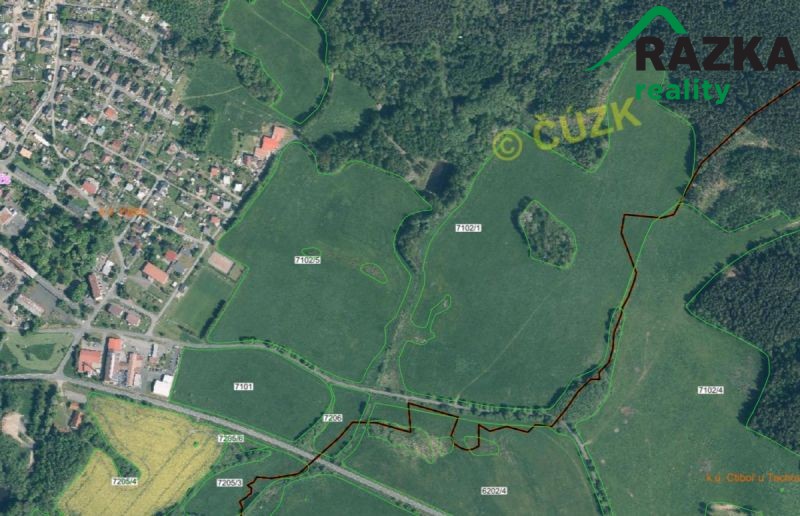 Prodej zemědělský pozemek - Halže - 5