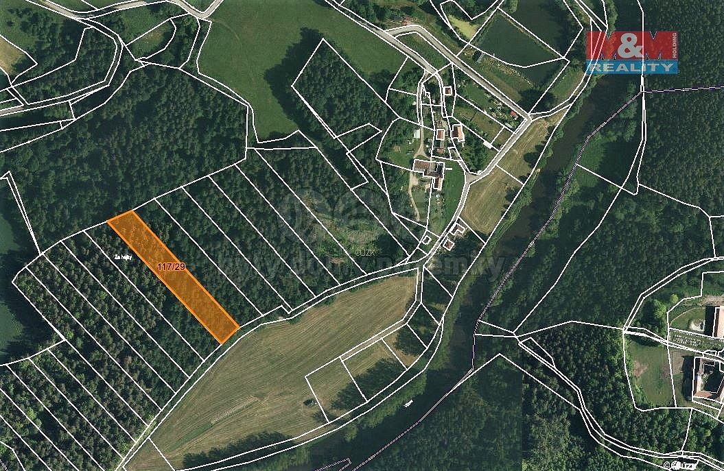 Les · Zlatá Koruna, okres Český Krumlov, Jihočeský kraj - 3