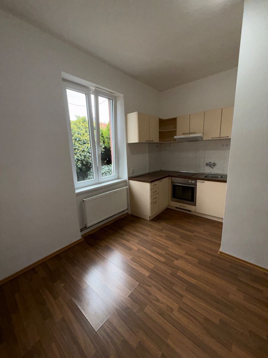 Byt 1+1, 45 m²
