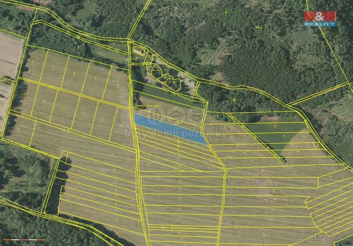 Prodej zemědělský pozemek - Kdyně, 345 06, 3 841 m²