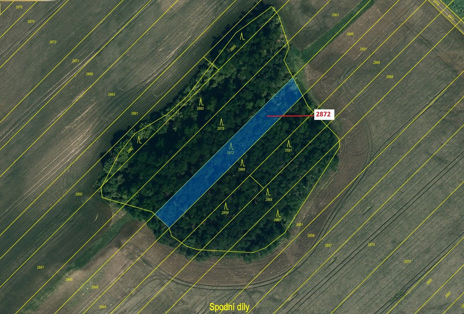 Prodej les - Želetice, okres Znojmo, Jihomoravský kraj - 2