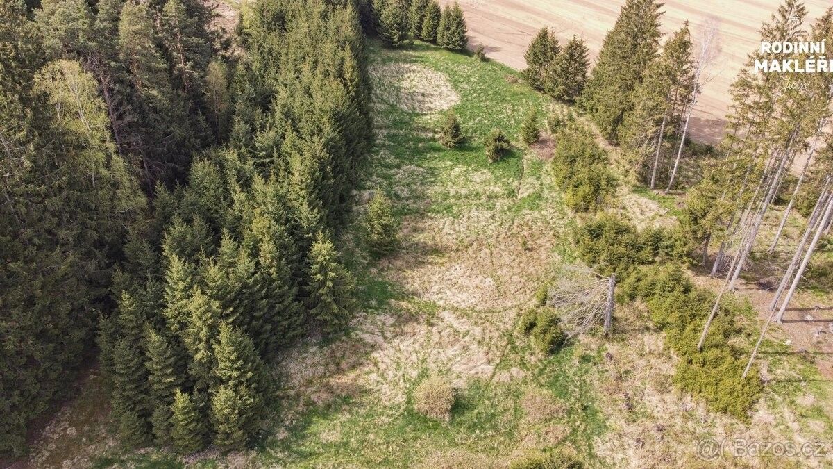 Pozemky pro bydlení, Nížkov, 592 12