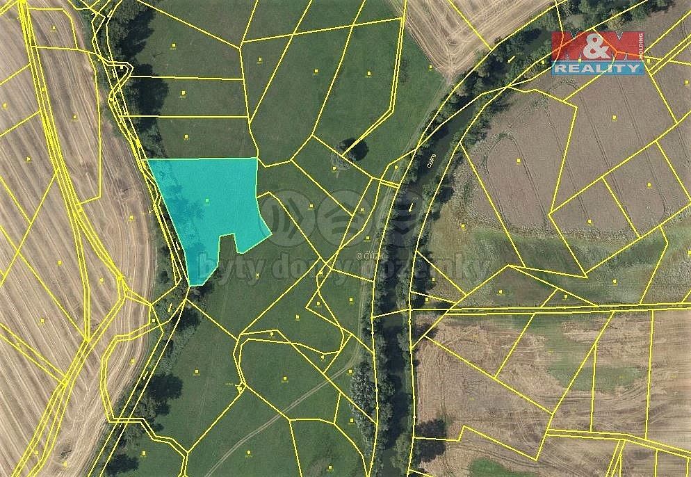 Louka · Chlumec nad Cidlinou - Chlumec nad Cidlinou I, okres Hradec Králové, Královéhradecký kraj - 3