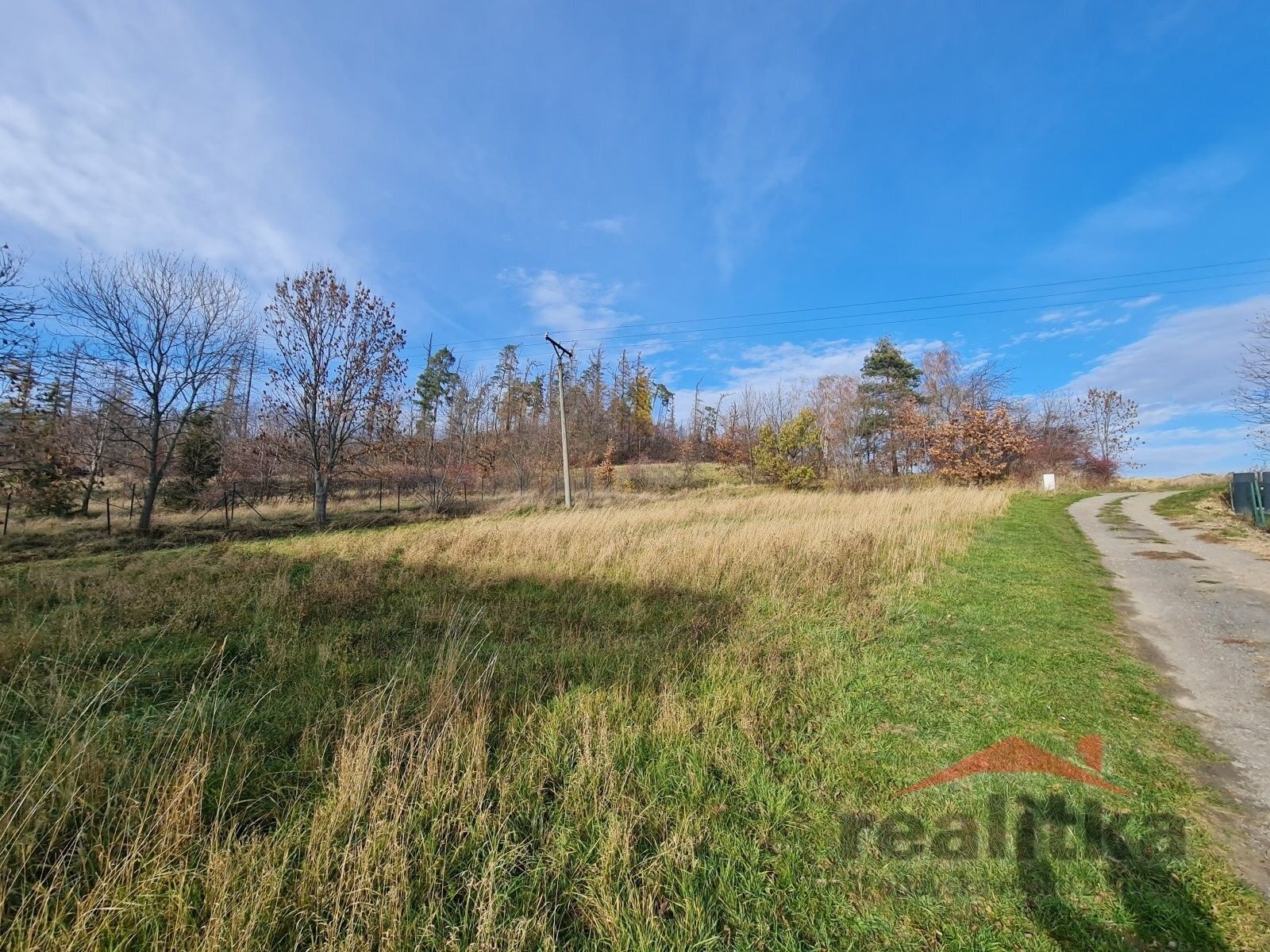 Prodej pozemek pro bydlení - Sosnová, 1 216 m² - 5
