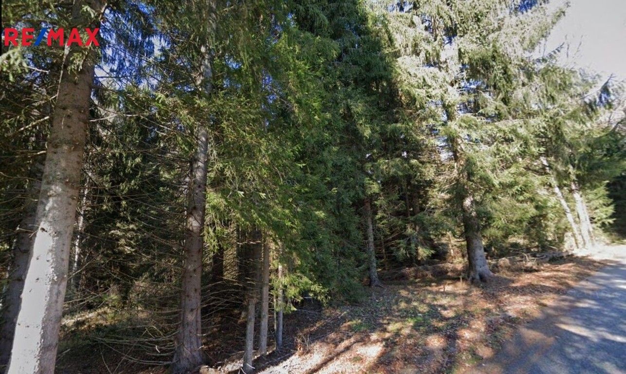 Prodej les - Borová Lada, 13 m²