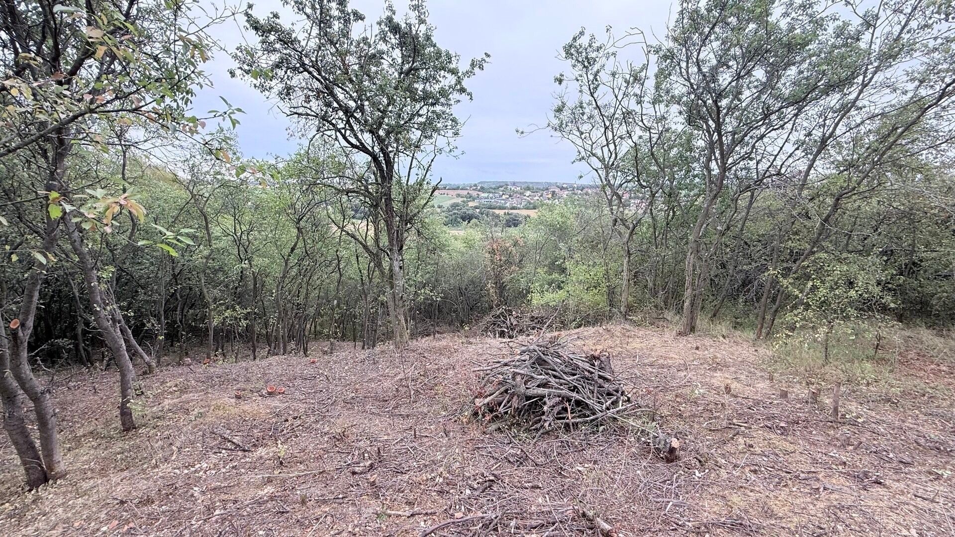 Zahrada · 464 m² · Brandýsek - 4