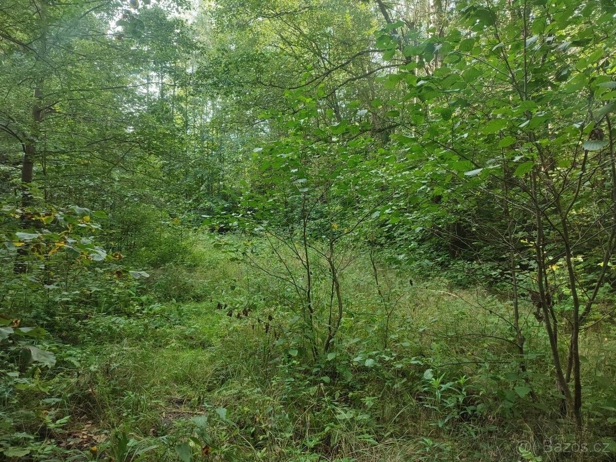 Prodej pozemek pro bydlení - Jeseník, 790 01