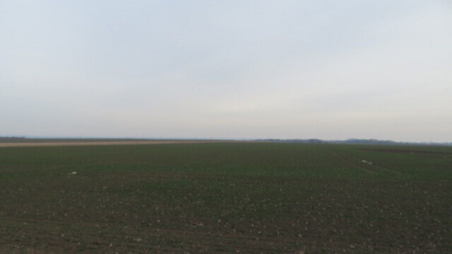 Zemědělský pozemek · Kolín, Středočeský kraj - 3