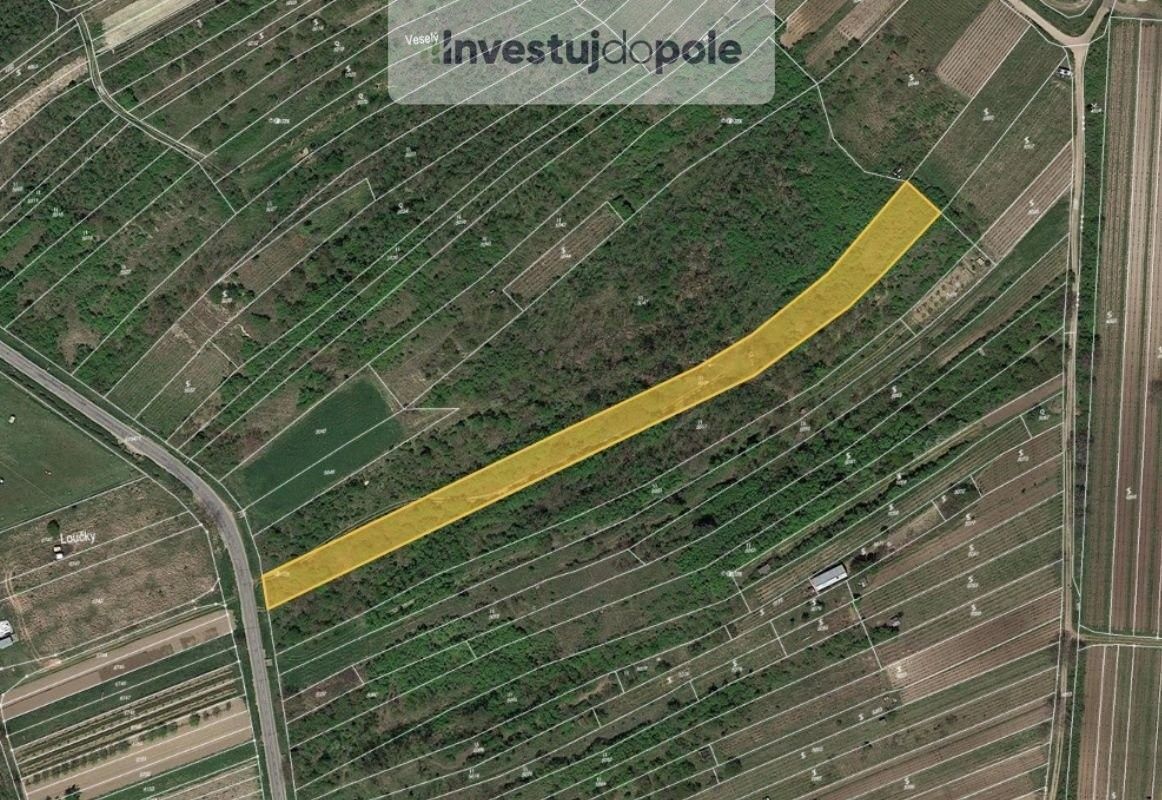Prodej louka - Němčičky u Břeclavi, 691 07, 3 570 m²