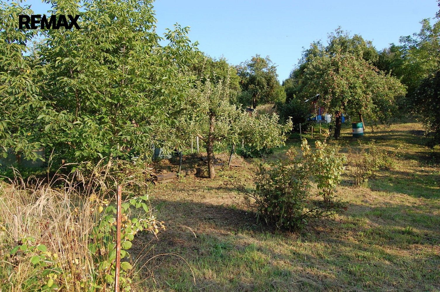 Zahrada · Ráječko, okres Blansko, Jihomoravský kraj - 4
