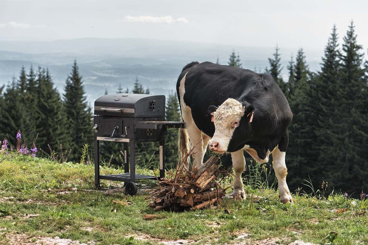 Chaty, Janské Lázně - Černá Hora v Krkonoších, Královéhradecký kraj - 2