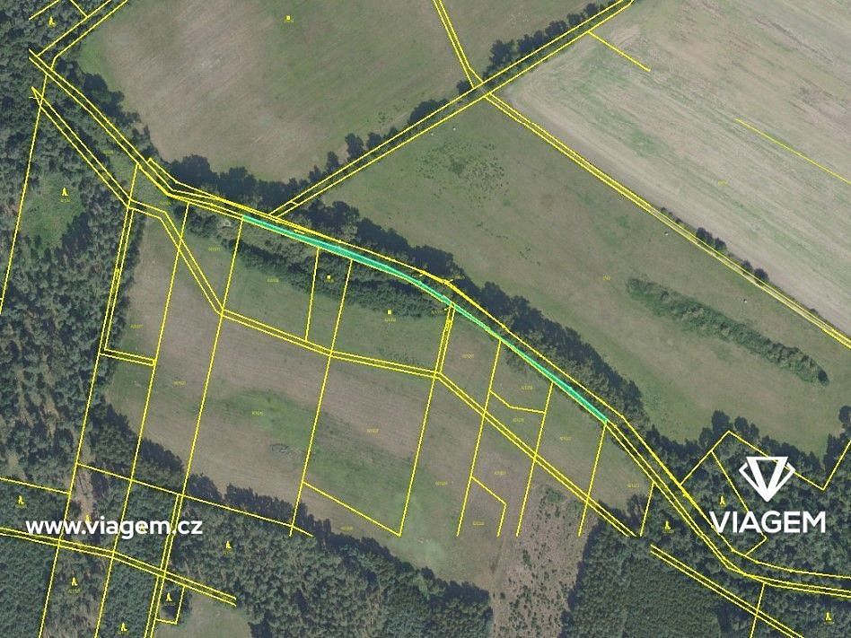 Les · Sokoleč, okres Nymburk, Středočeský kraj - 4