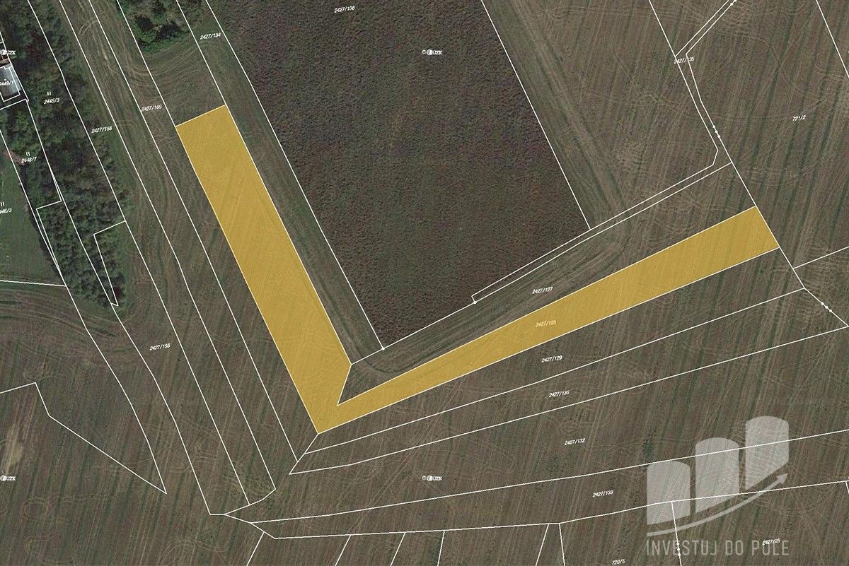 Prodej zemědělský pozemek - Třemošná, 7 281 m²