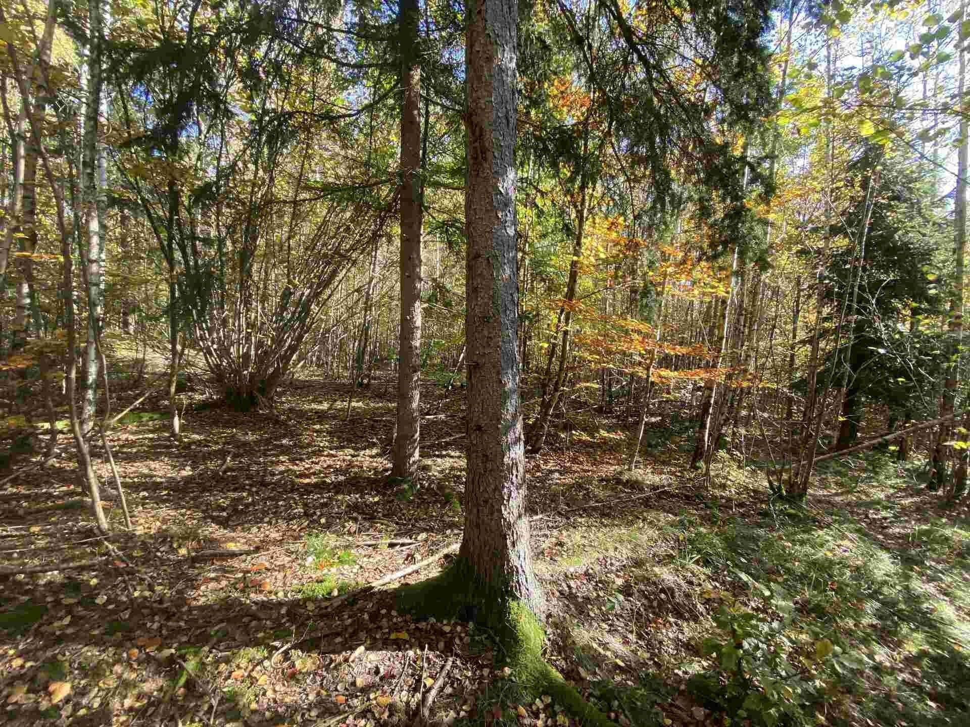 Zemědělský pozemek, 9 794 m²