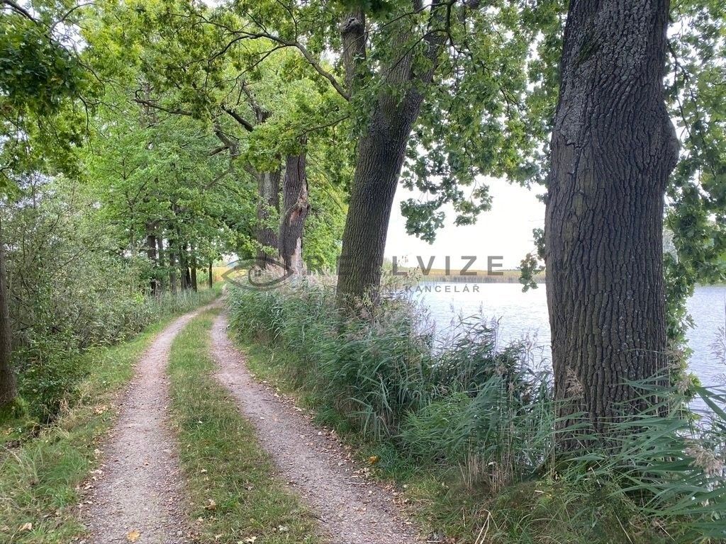 Prodej pozemek pro bydlení - Třeboň