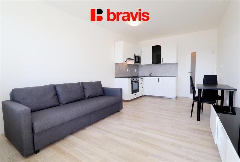 1+kk, Rumiště, Brno, 31 m²