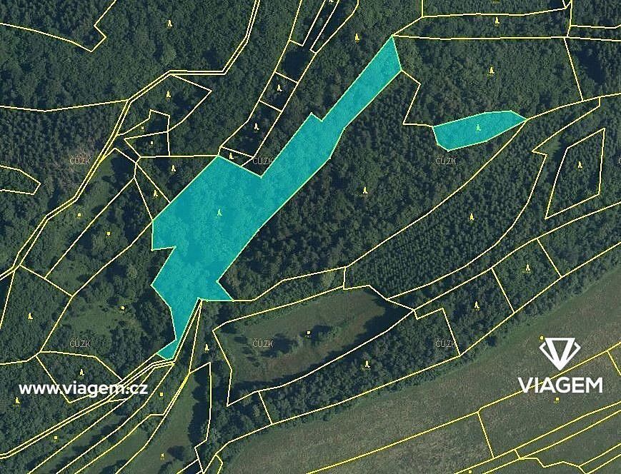 Prodej les - Lužná, okres Vsetín, Zlínský kraj - 2