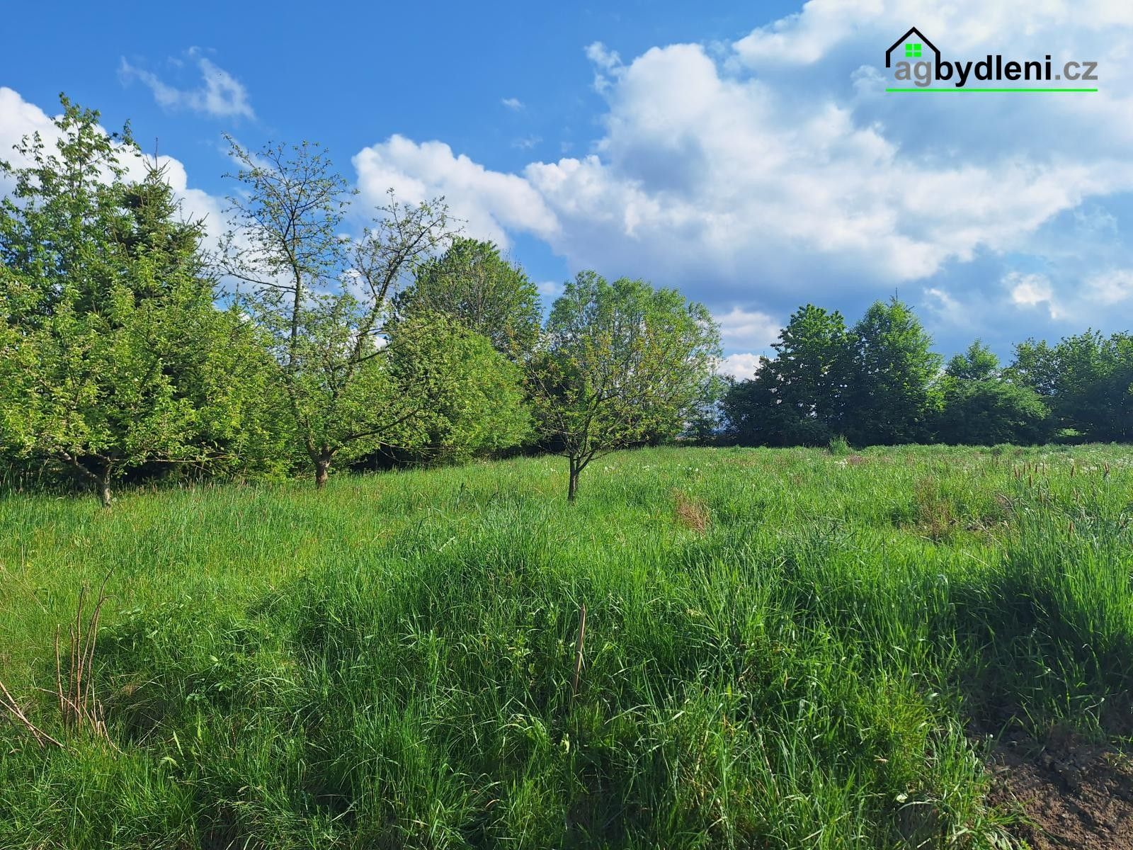 Pozemky pro bydlení, Dražovice, Klatovy, 2 975 m²