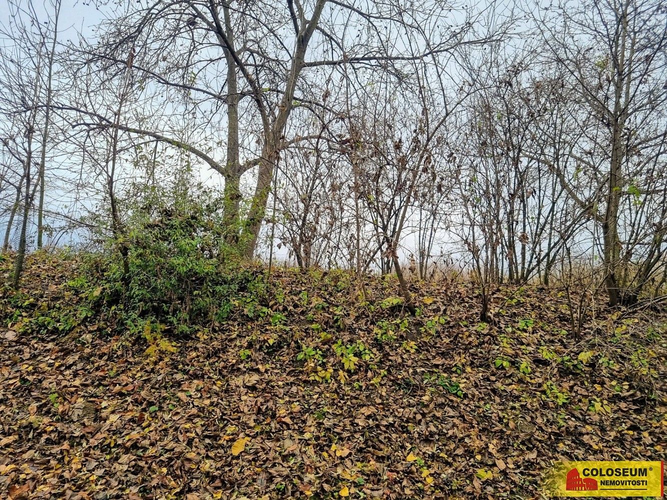 Prodej pozemek pro bydlení - Rousínov - Čechyně, okres Vyškov, Jihomoravský kraj - 5