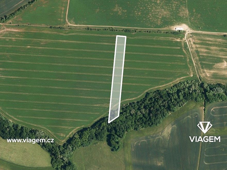 Prodej zemědělský pozemek - Osvětimany, okres Uherské Hradiště, Zlínský kraj - 2