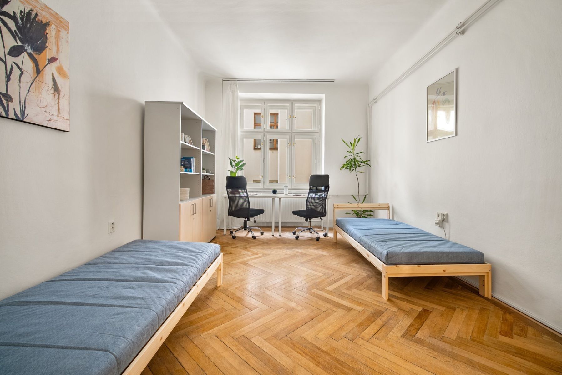 2+1, Starobrněnská, Brno - Město Brno, Jihomoravský kraj, 22 m² - 1
