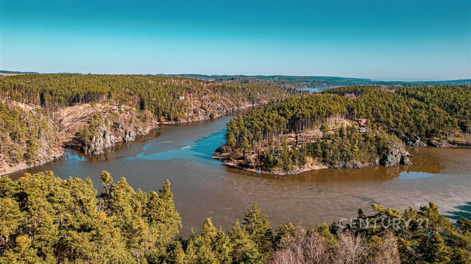 Prodej les - Čerňovice