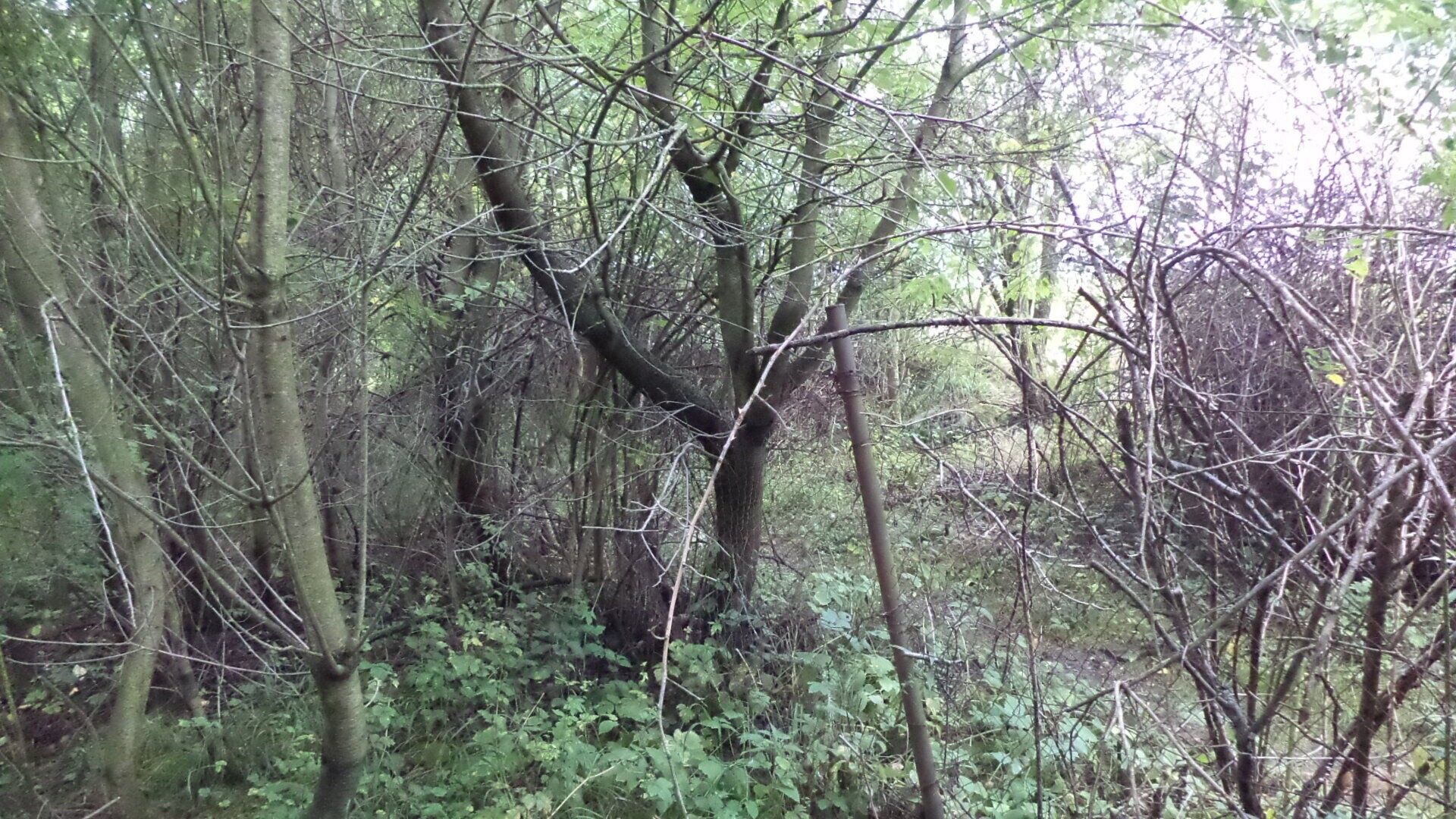Pozemek pro bydlení · 1 714 m² · Skuteč - 4