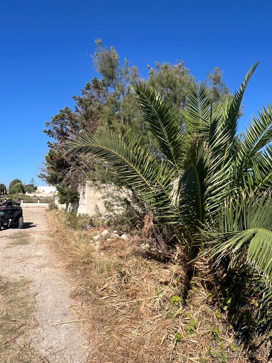 Prodej chata - Olomouc, 779 00