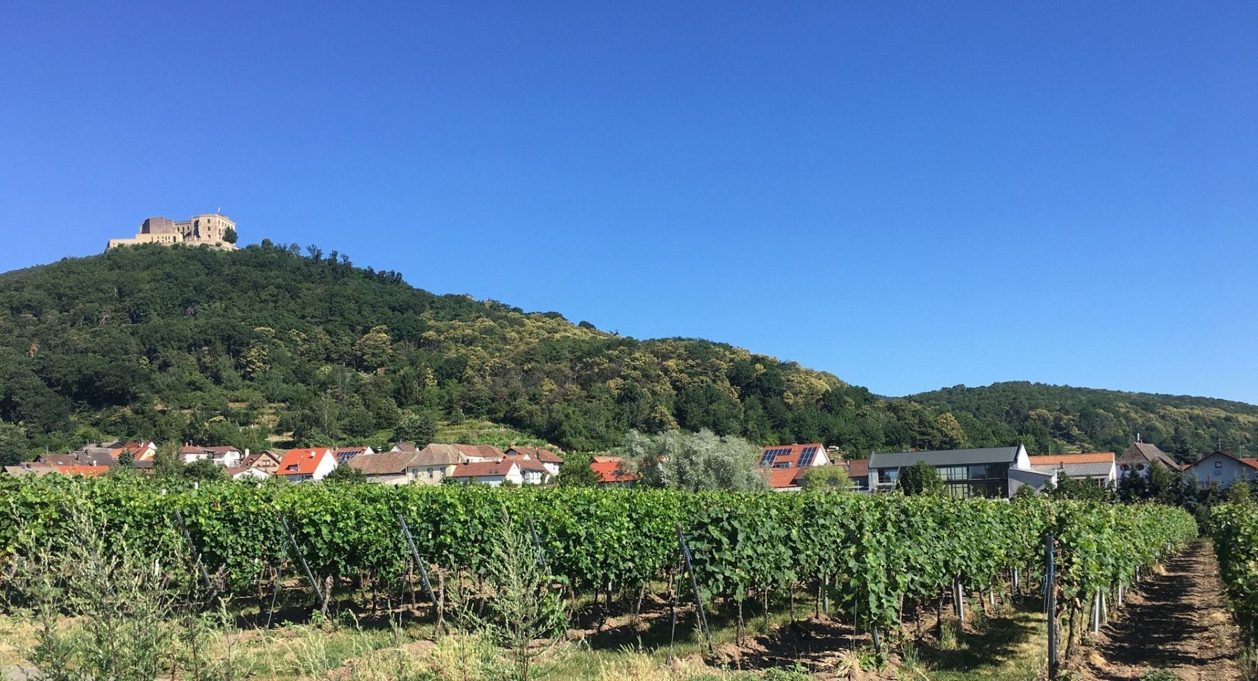 Rodinný dům · 297 m² · Neustadt an der Weinstraße, Ortsteil Hambach Diedesfeld Rheinland-Pfalz 67344 - 3