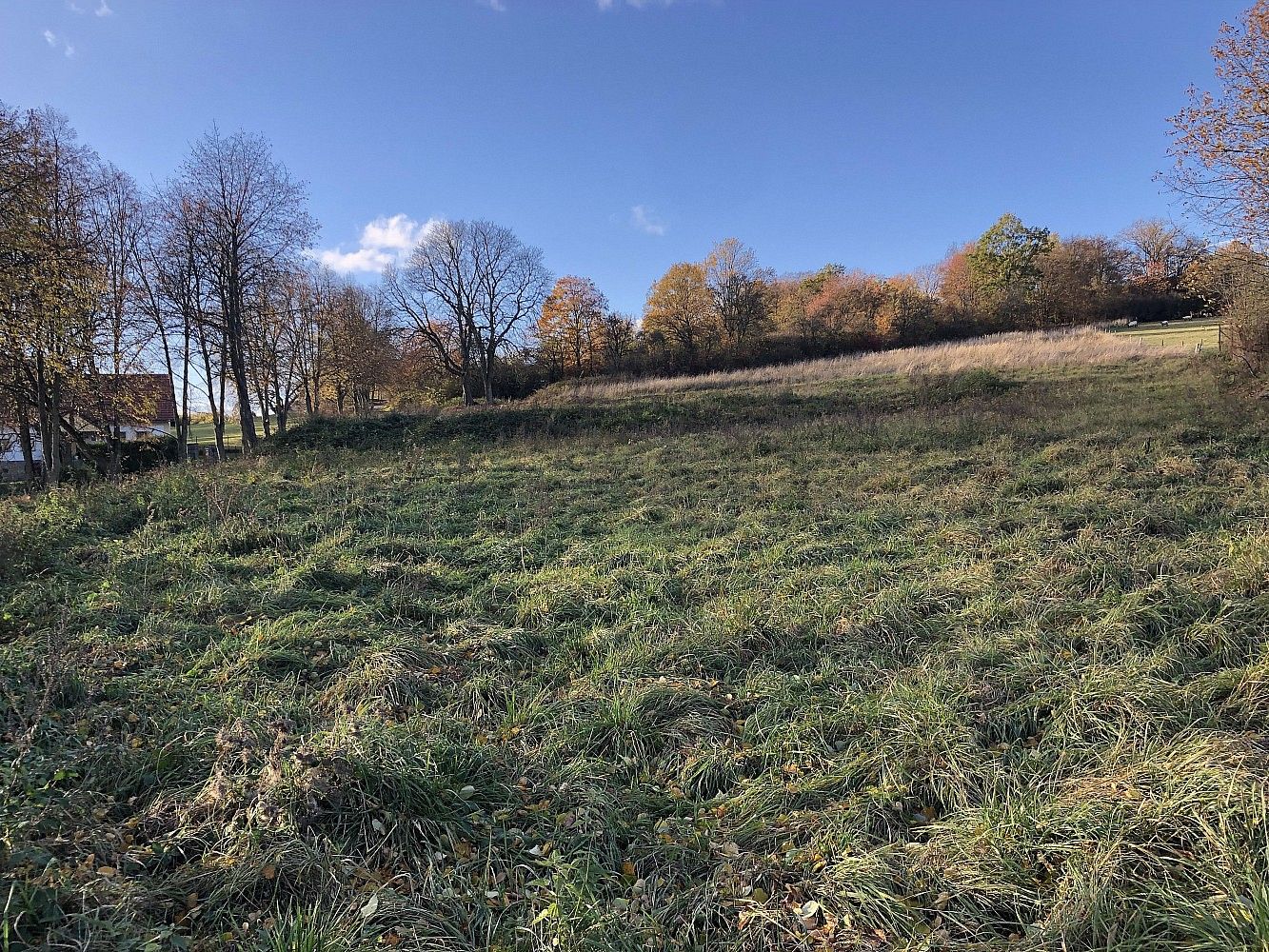 Pozemek pro bydlení, 1 445 m²