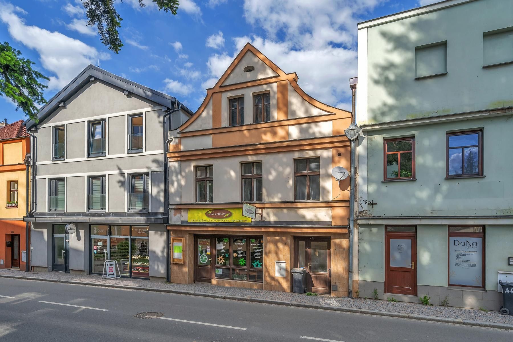 Ostatní, Havlíčkova, Litomyšl, 295 m²