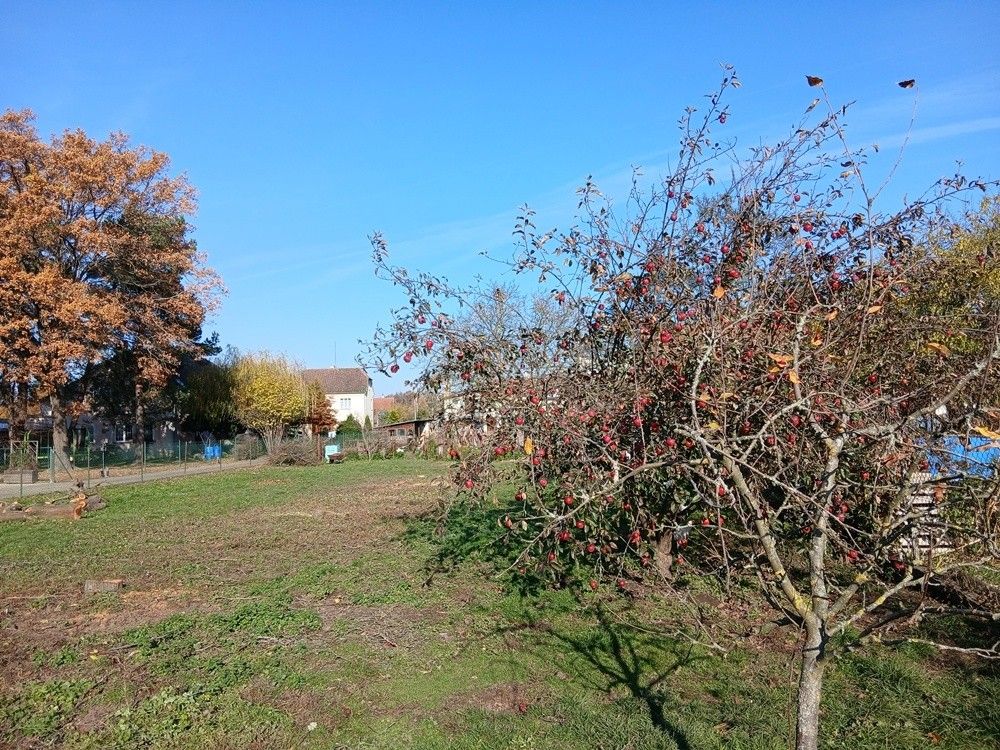 Prodej pozemek pro bydlení - Praha, 190 16