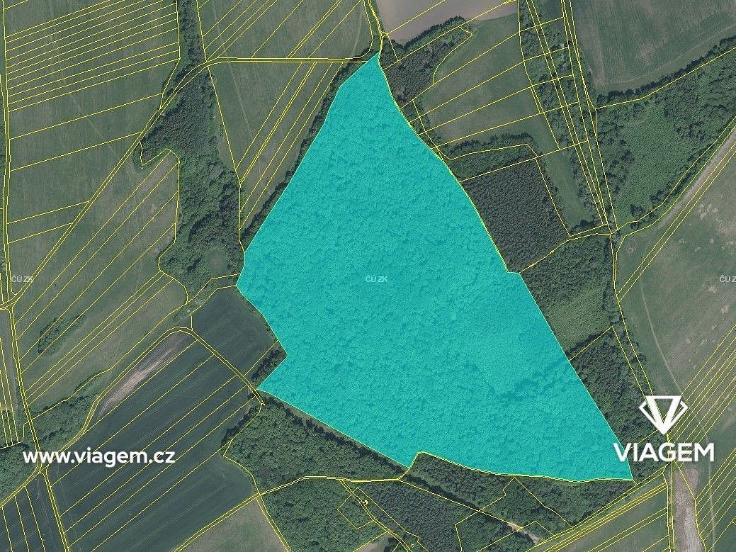 Les · Bánov, okres Uherské Hradiště, Zlínský kraj - 3