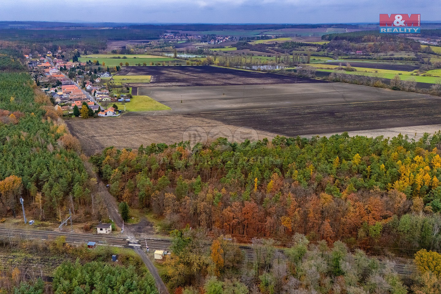 Les · Lysá nad Labem, okres Nymburk - 4