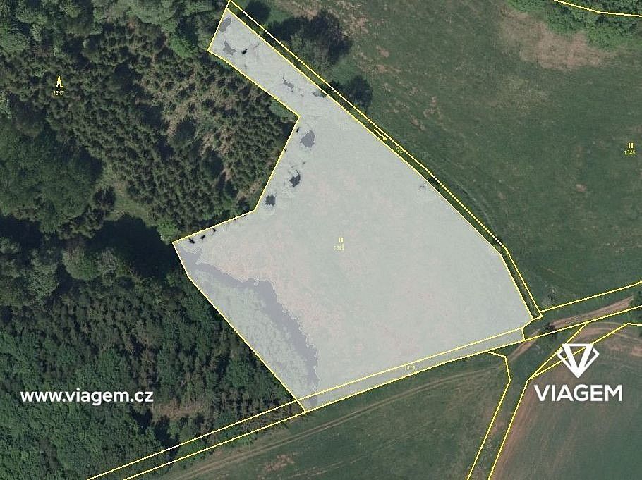 Zemědělský pozemek, 3 113 m²