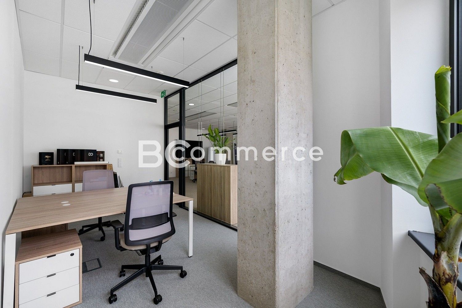 Pronájem kancelář - Brno - Staré Brno, okres Brno-město, Jihomoravský kraj, 148 m² - 5