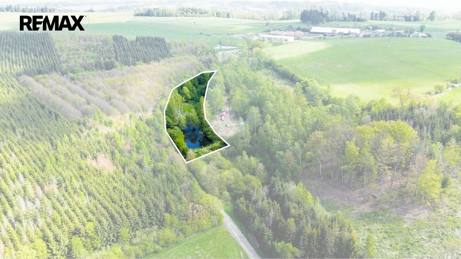 Rybník · Střítež, okres Žďár nad Sázavou - 3