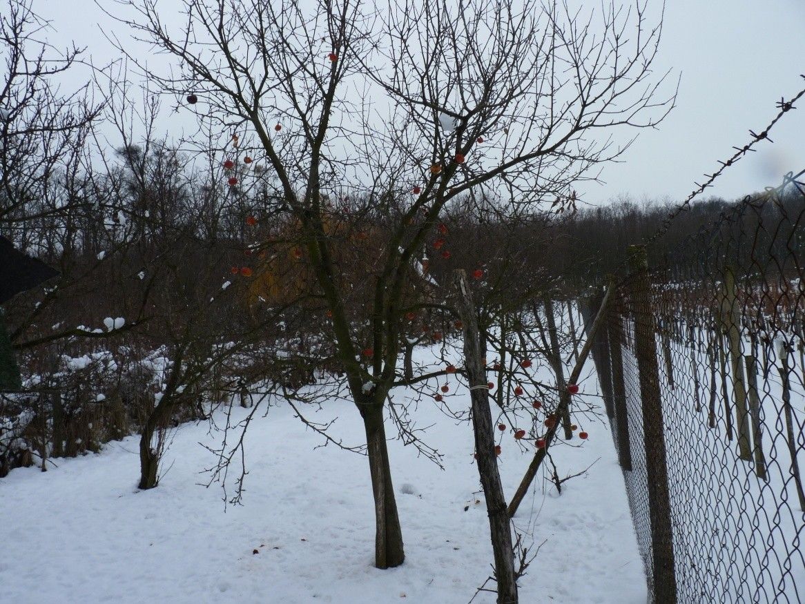 Pozemky pro bydlení, 987 65, Slovensko