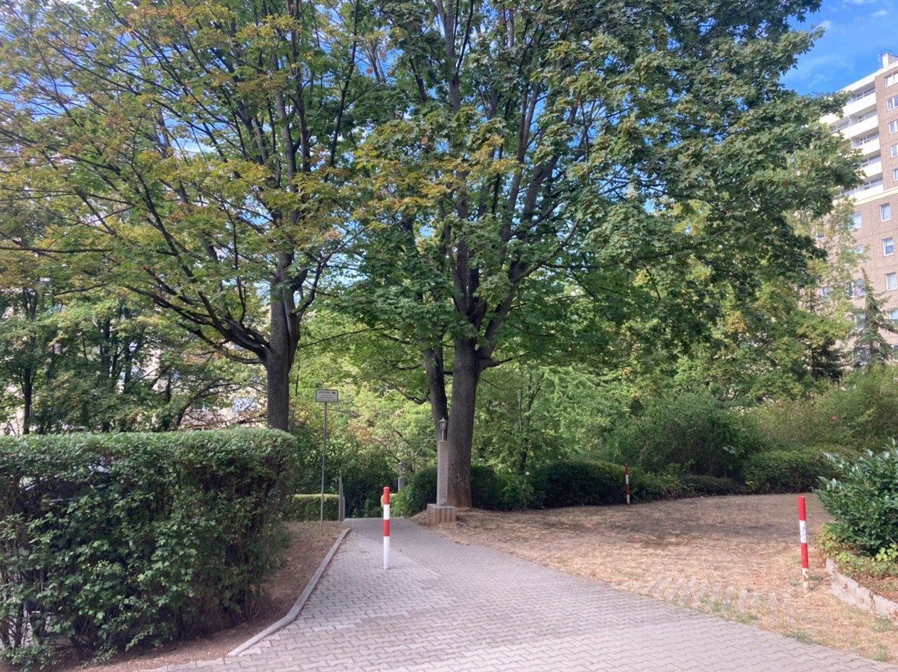 1+1, Am Alten Weg 33 Mainz-Marienborn Marienborn Rheinland-Pfalz 55127, 29 m² - 2