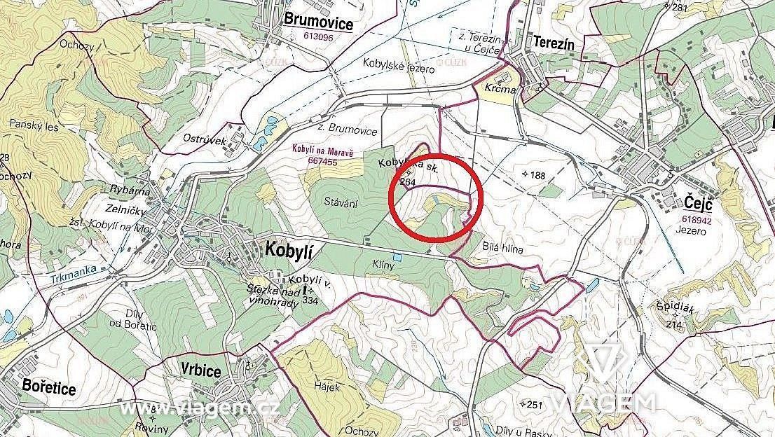 Zemědělské pozemky, Kobylí, okres Břeclav, Jihomoravský kraj - 2