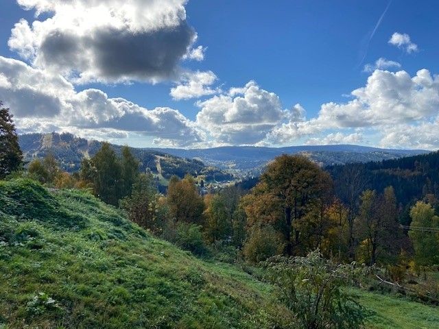 Prodej pozemek pro bydlení - Albrechtice v Jizerských horách, 468 43