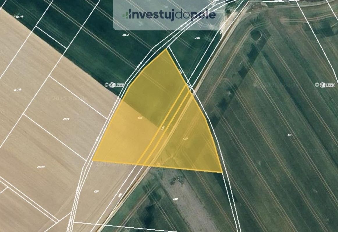 Prodej zemědělský pozemek - Zborovice, 768 32, 6 029 m²