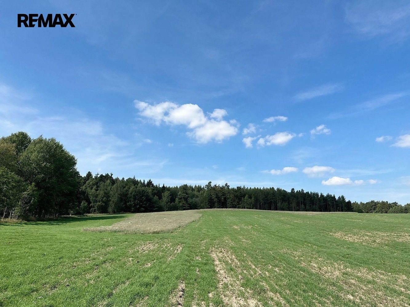 Les · Dlouhý Újezd, okres Tachov, Plzeňský kraj - 4