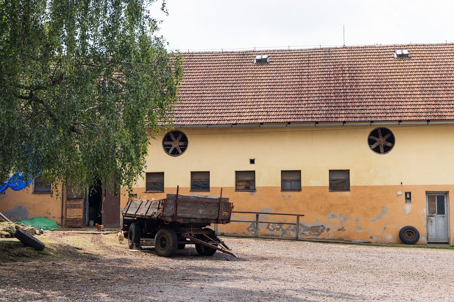 Zemědělský objekt · 23 296 m² · Potštejn - Brná, okres Rychnov nad Kněžnou, Královéhradecký kraj - 4